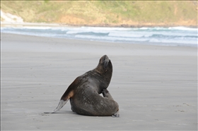 Sandfly Bay